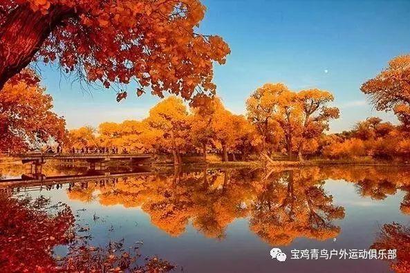 《输赢》里五对情侣的结局是怎么样的?谁来讲一讲? - 专业问答,即刻解答您的问题